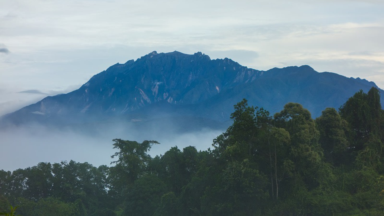 Full-Day Kinabalu Park and Poring Hot Springs Tour with Canopy Walk