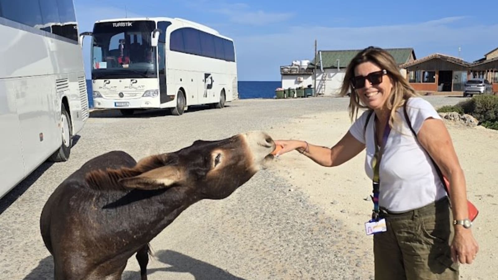 8-Hour Karpas Peninsula Church and Beach Tour with Apostolos Andreas