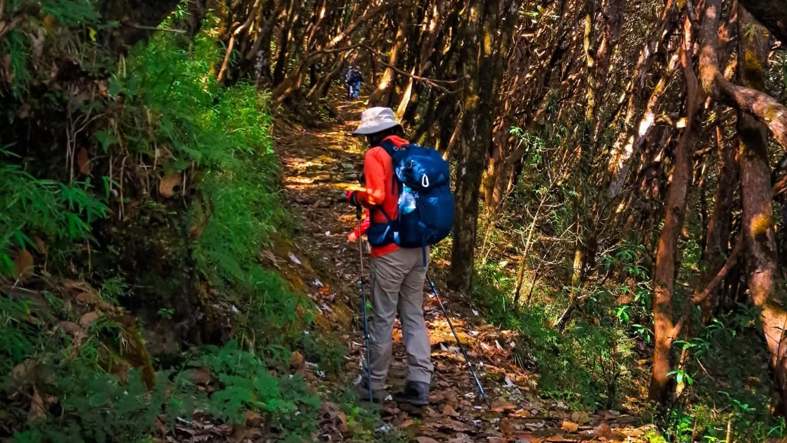16-Day Kanchenjunga Round Trek through Darjeeling, Sikkim and Kalimpong