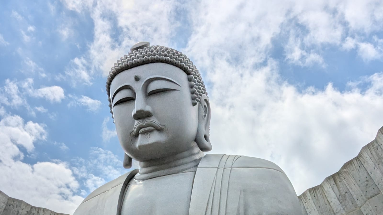 8-Hour Sapporo Hill of the Buddha Tour with JR Tower and Sake Tasting