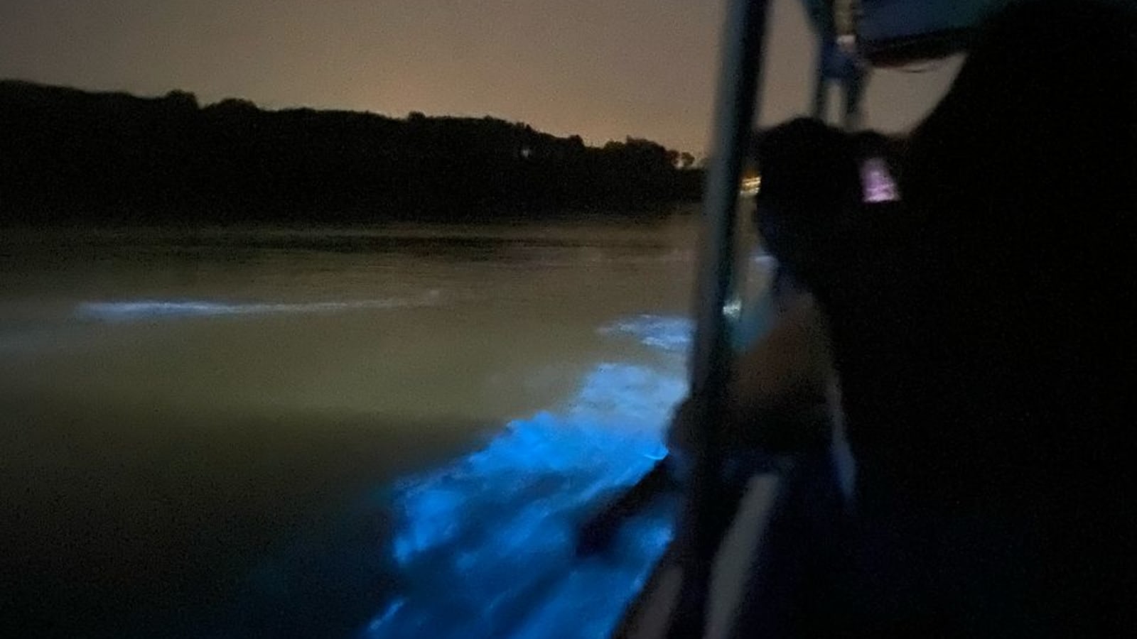 7-Hour Kuala Selangor Fireflies Tour with Blue Tears Watching