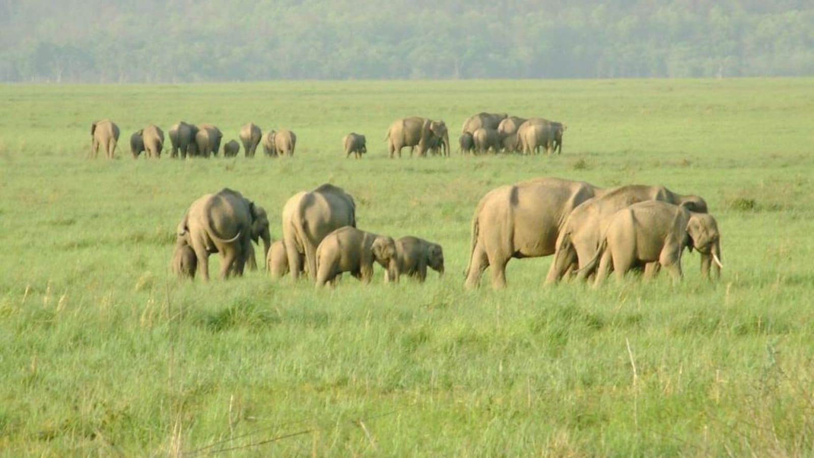 4-Day Nainital and Corbett Safari Tour from Delhi or Dehradun