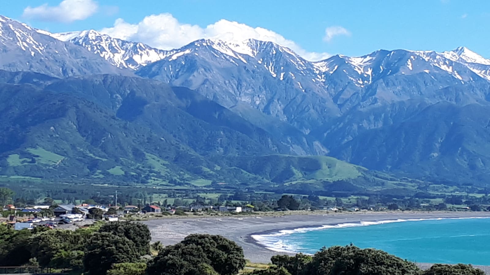 2-Day Picton to Christchurch Tour with Kaikoura and Seal Colony