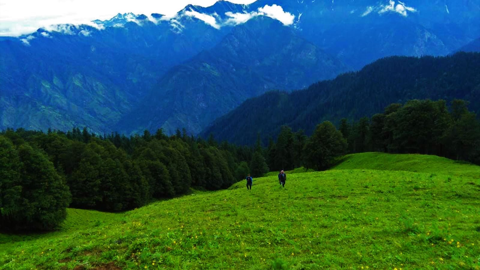 4-Day Pakhadi Trek in Great Himalayan National Park with Stargazing
