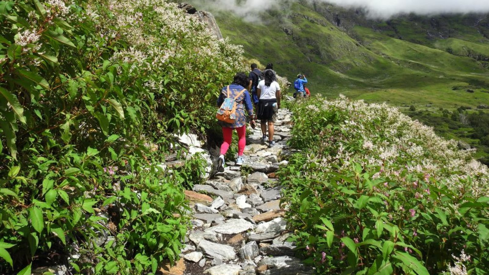 6-Day Valley of Flowers Trek with Hemkund Sahib