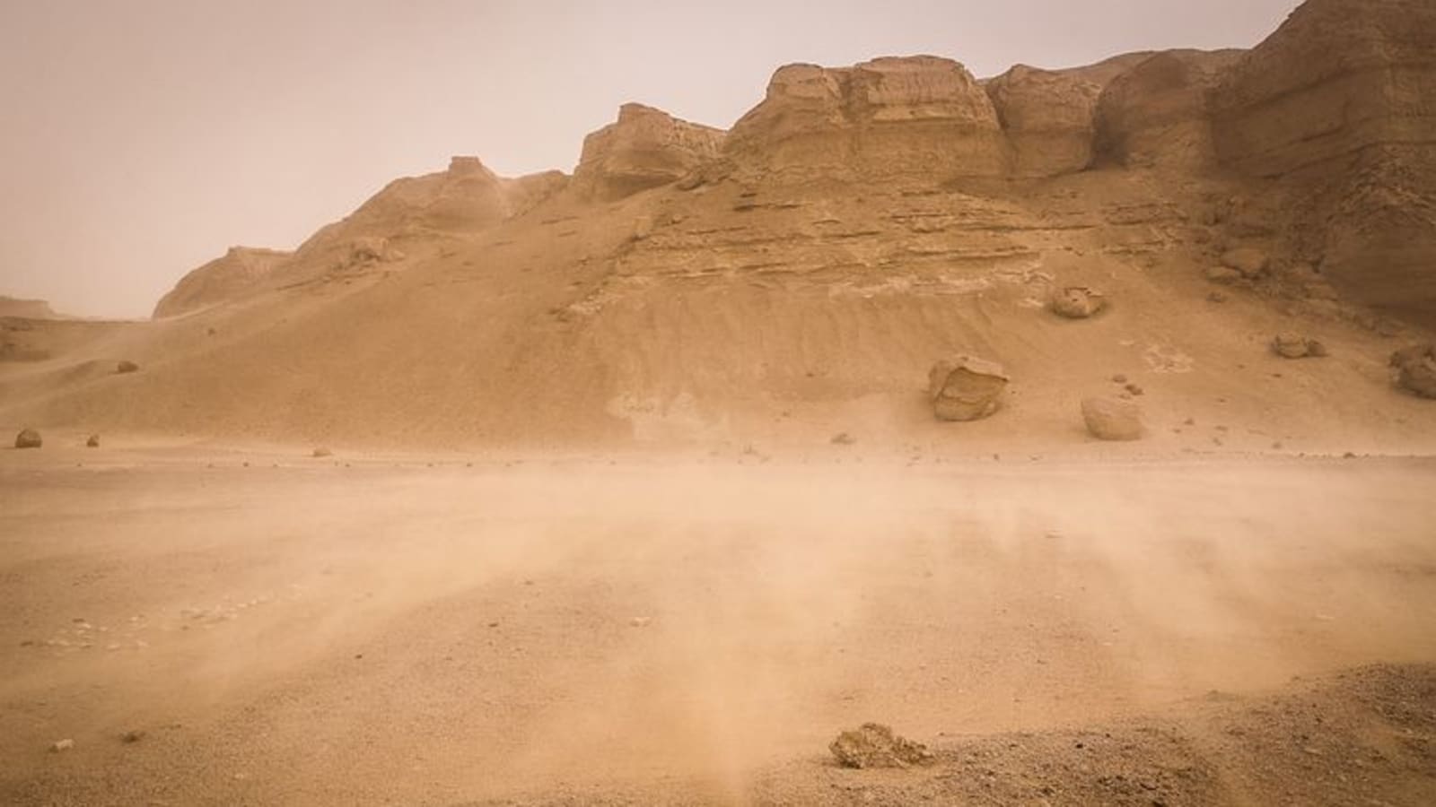 Full-Day Fayoum Desert Tour from Cairo with Wadi Hitan and Sandboarding