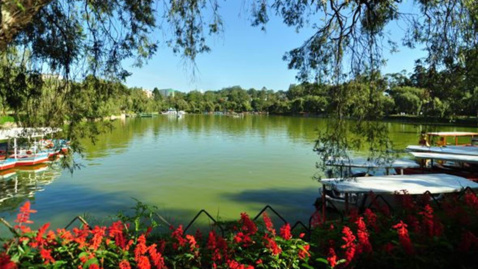 8-Hour Burnham Park Tour with Boating, Biking and Skating