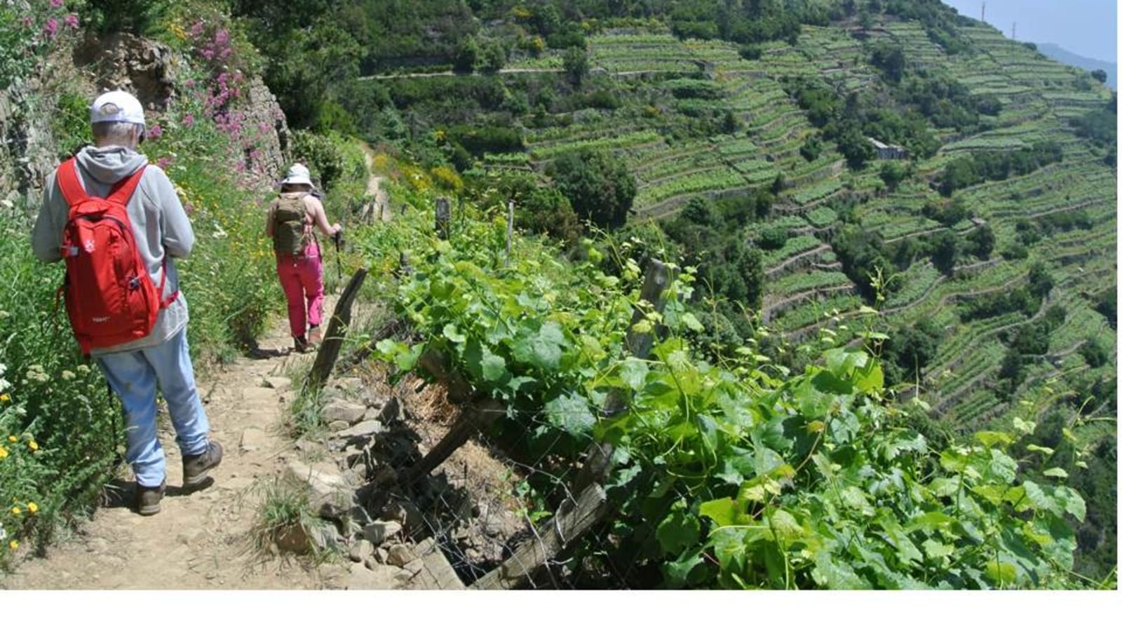 4-Hour Cinque Terre Hiking Tour with Volastra and Corniglia