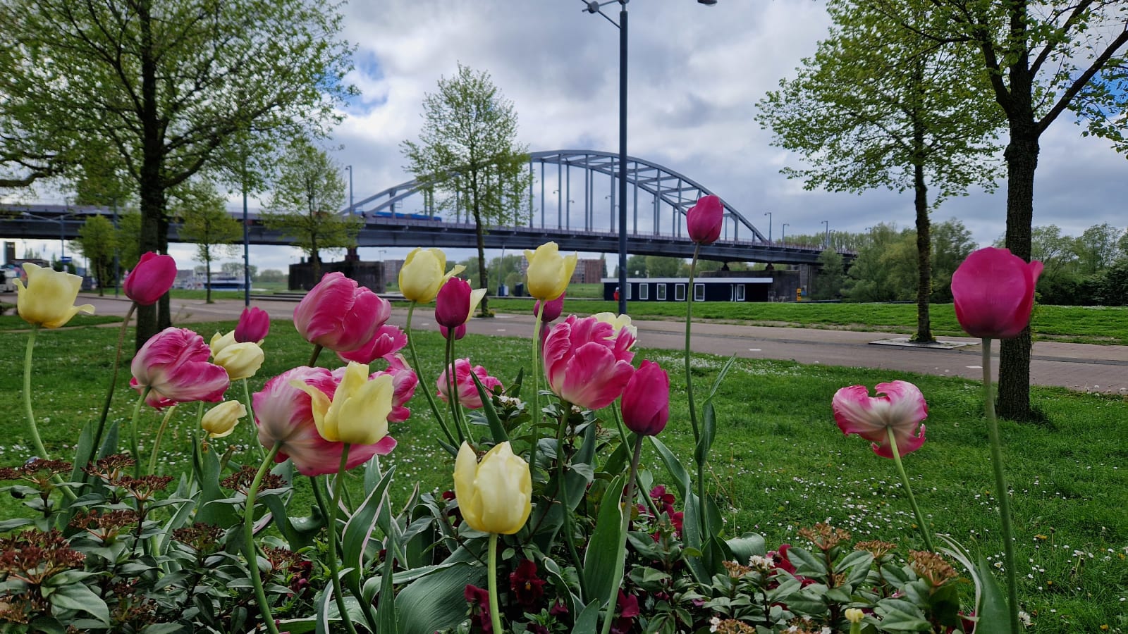6-Hour Battle of Arnhem Car Tour with Eyewitness Stories