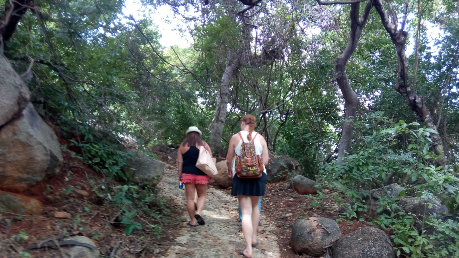 7-Hour Roqueta Island Tour from Acapulco with Glass-Bottom Boat Ride