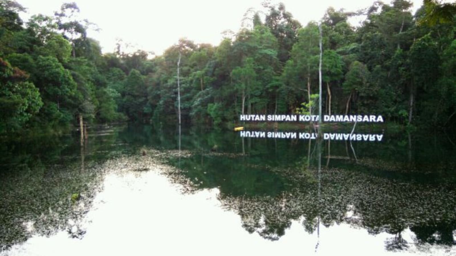 Full-Day Nature Walk in Kota Damansara with Ethnic Borneo Spa