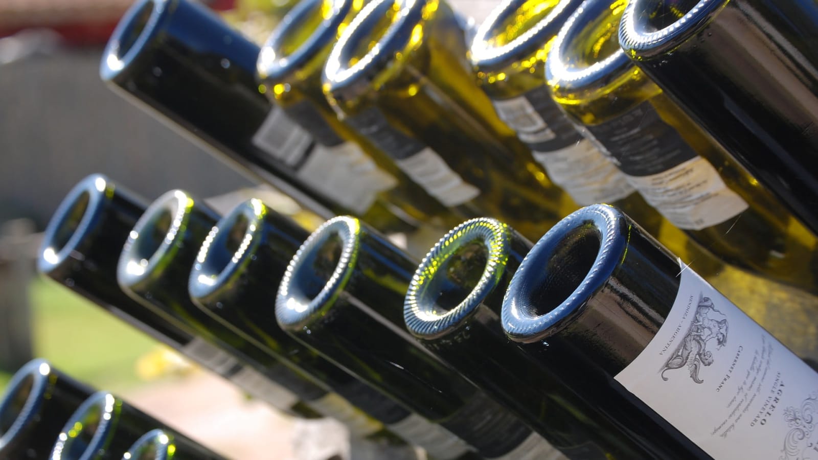1-Day Puglia and Lecce Wine Tour from Bari with Local Tastings
