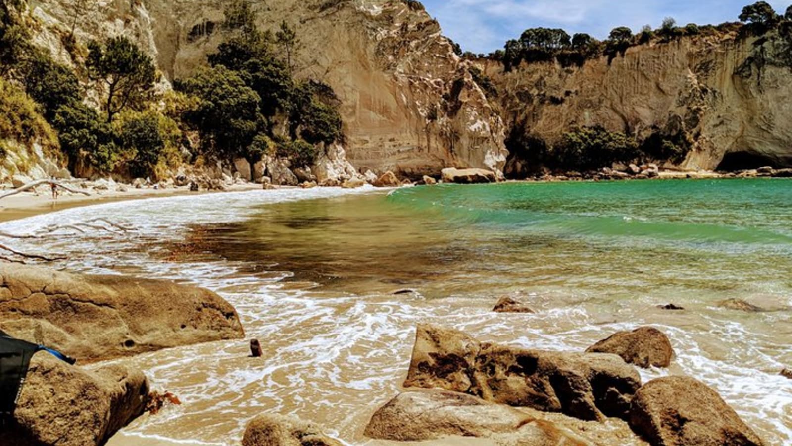 10-Hour Coromandel Tour from Auckland with Cathedral Cove and Hot Water Beach