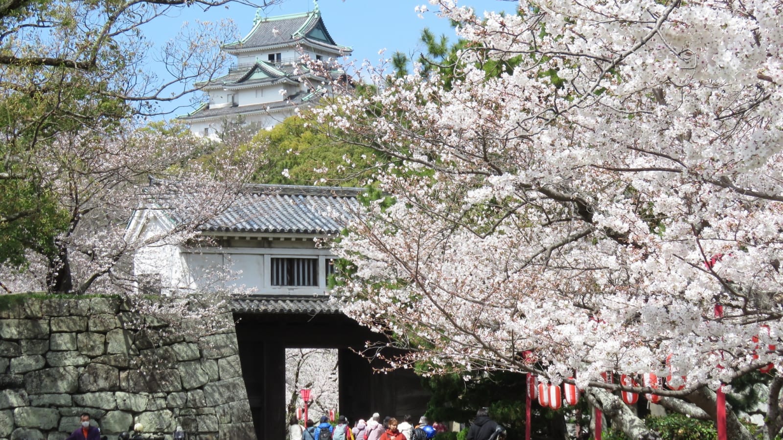1-Day Wakayama City Tour with Castle, Kuroshio Market and Gardens