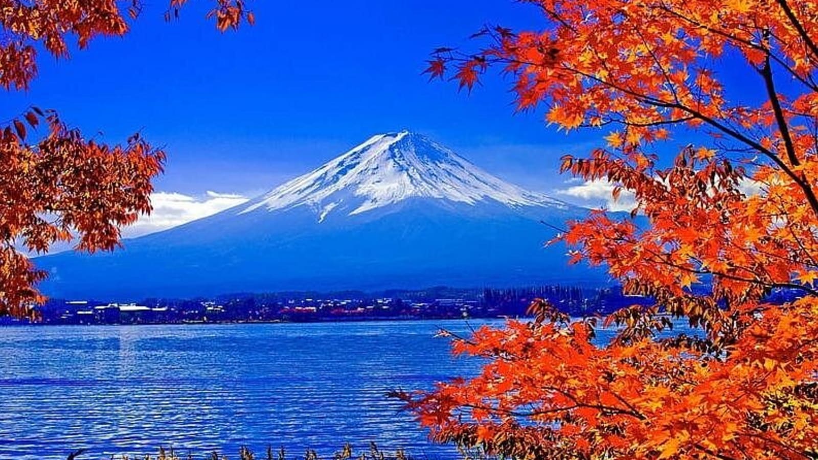 1-Day Private Mount Fuji Tour from Tokyo with Multilingual Guide