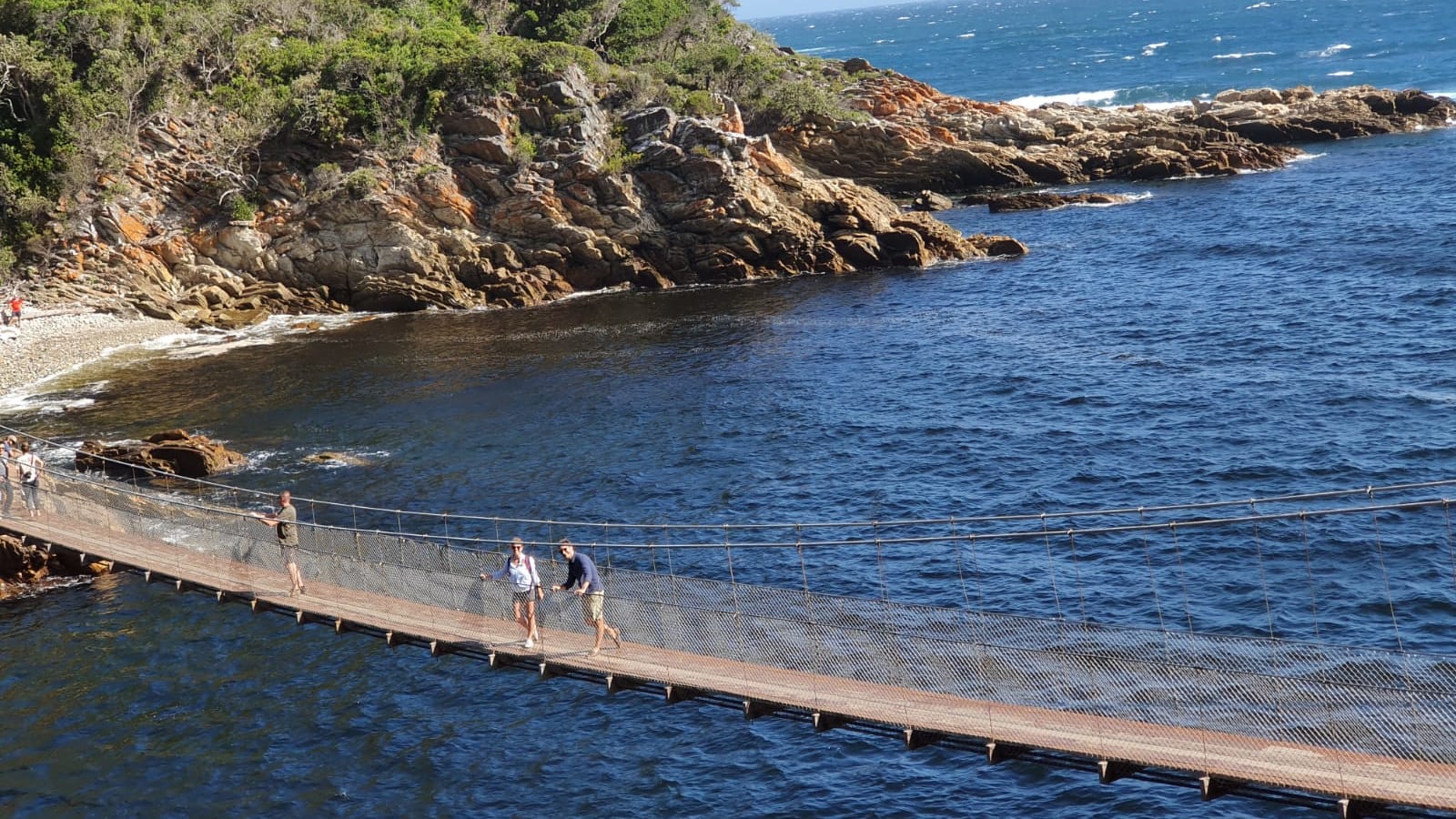 4-Day Tsitsikamma and Addo Safari with Camping and Bungee Jump
