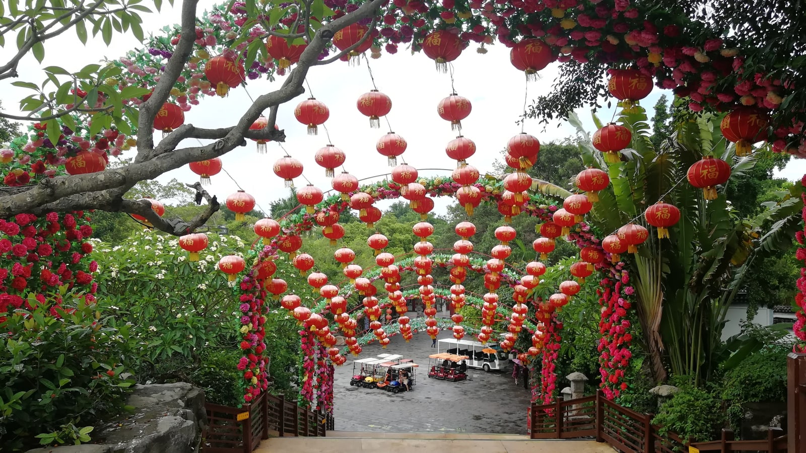 1-Day Shenzhen Traditional Shows Tour with 3 Famous Performances