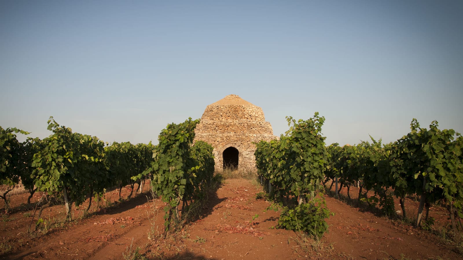 6-Hour Lecce and Salento Winery Tour with Lunch and Wine Tasting