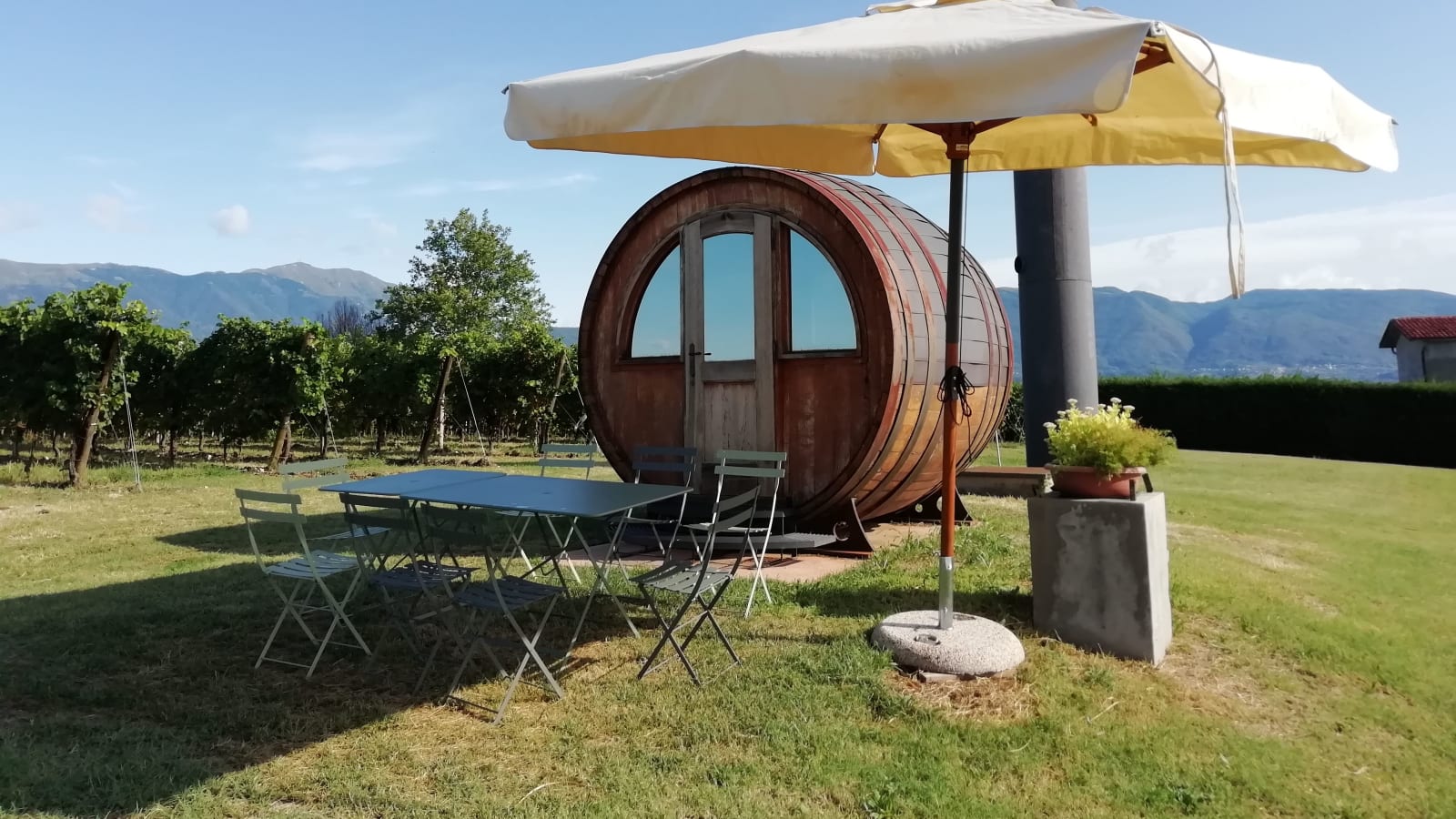 1-Day Prosecco Hills Wine Tour from Venice with 2 Cellar Tastings