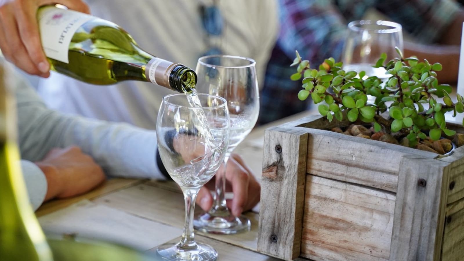 6-Hour Cape Winelands Private Tour with Family-Friendly Tastings
