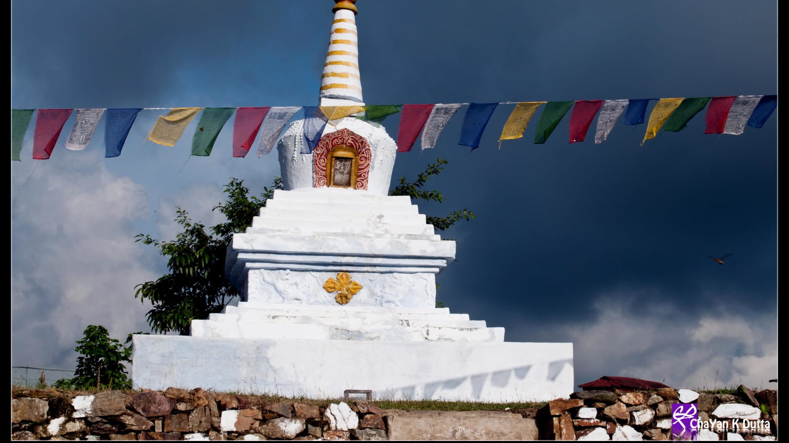6-Day Lepchakha Trek in the Dooars with Buxa Fort and Jaldapara