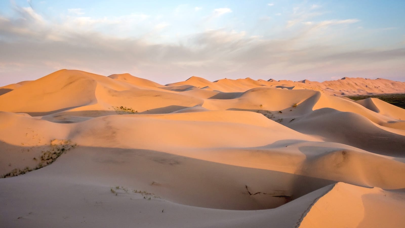 6-Day Gobi Desert Tour from Ulaanbaatar with Nomadic Family Stays