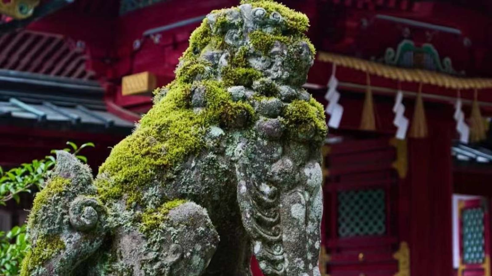 10-Hour Nikko Cultural and Natural Wonders Tour from Tokyo