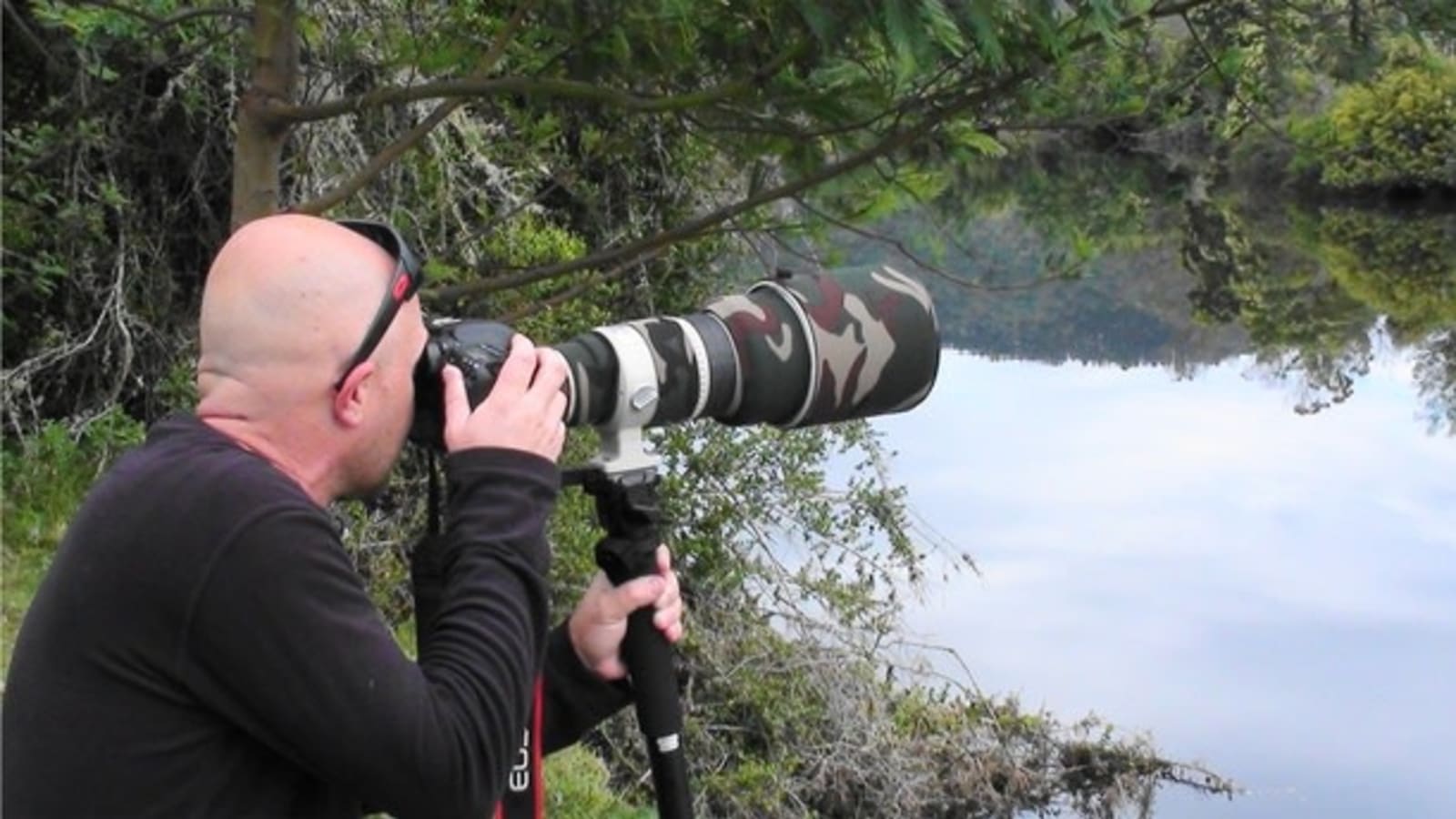 4-Hour Plettenberg Bay Game Reserve Tour with Birdwatching
