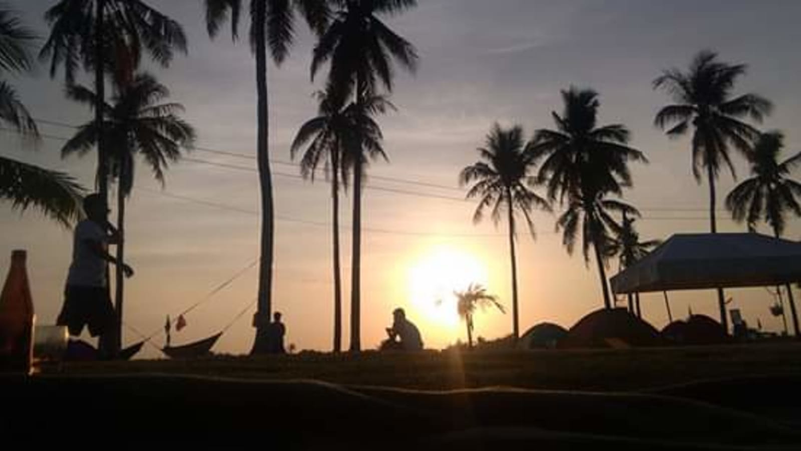 1-Day Olango Island Wildlife Tour with Eco Park and Shell Crafts