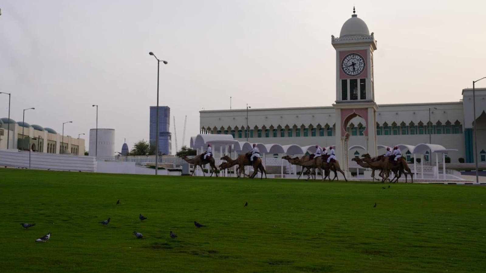 4-Hour Doha City Tour with Souq Waqif, Katara and Lusail
