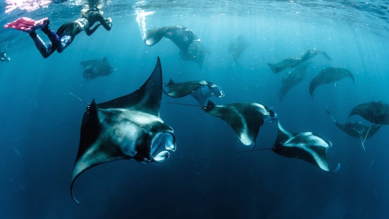 8-Day Maldives Adventure Tour with Rasdhoo Water Sports and Male