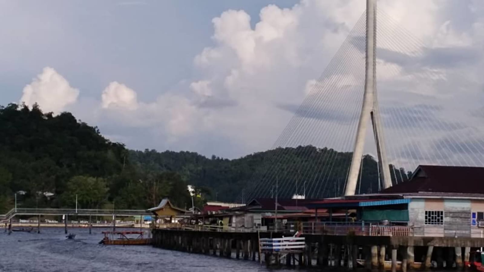 4-Hour Brunei Water Village and Mangrove Safari with Proboscis Monkeys