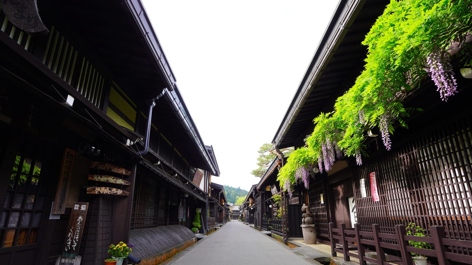 9-Hour Takayama and Hida Furukawa Tour from Toyama or Kanazawa