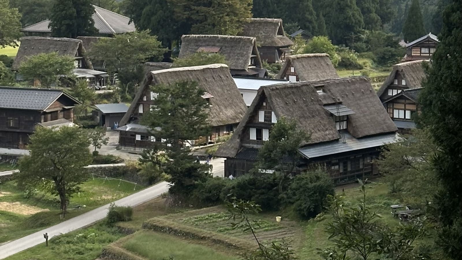 8-Hour Gokayama Heritage Tour with Iwana Lunch and Washi Making