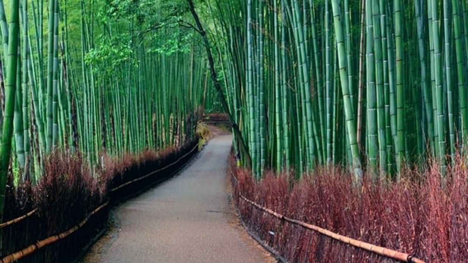8-Day Japan Tour from Tokyo to Kyoto with Mt. Fuji and Shirakawa-go