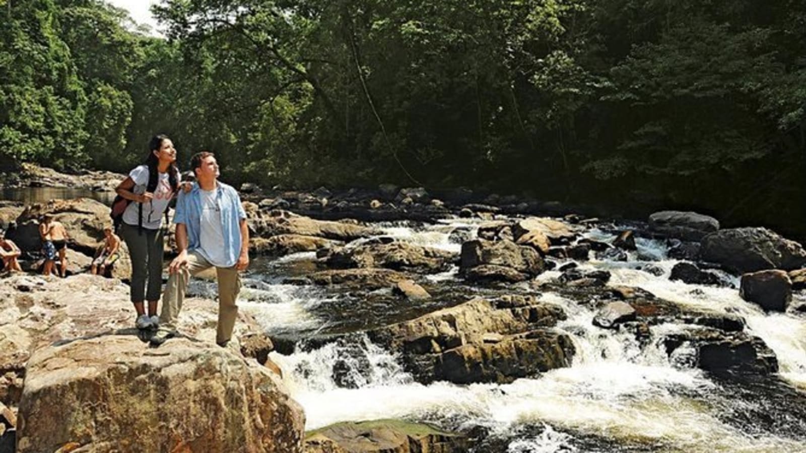 12-Hour Taman Negara National Park Tour with Canopy Walk and Rapids