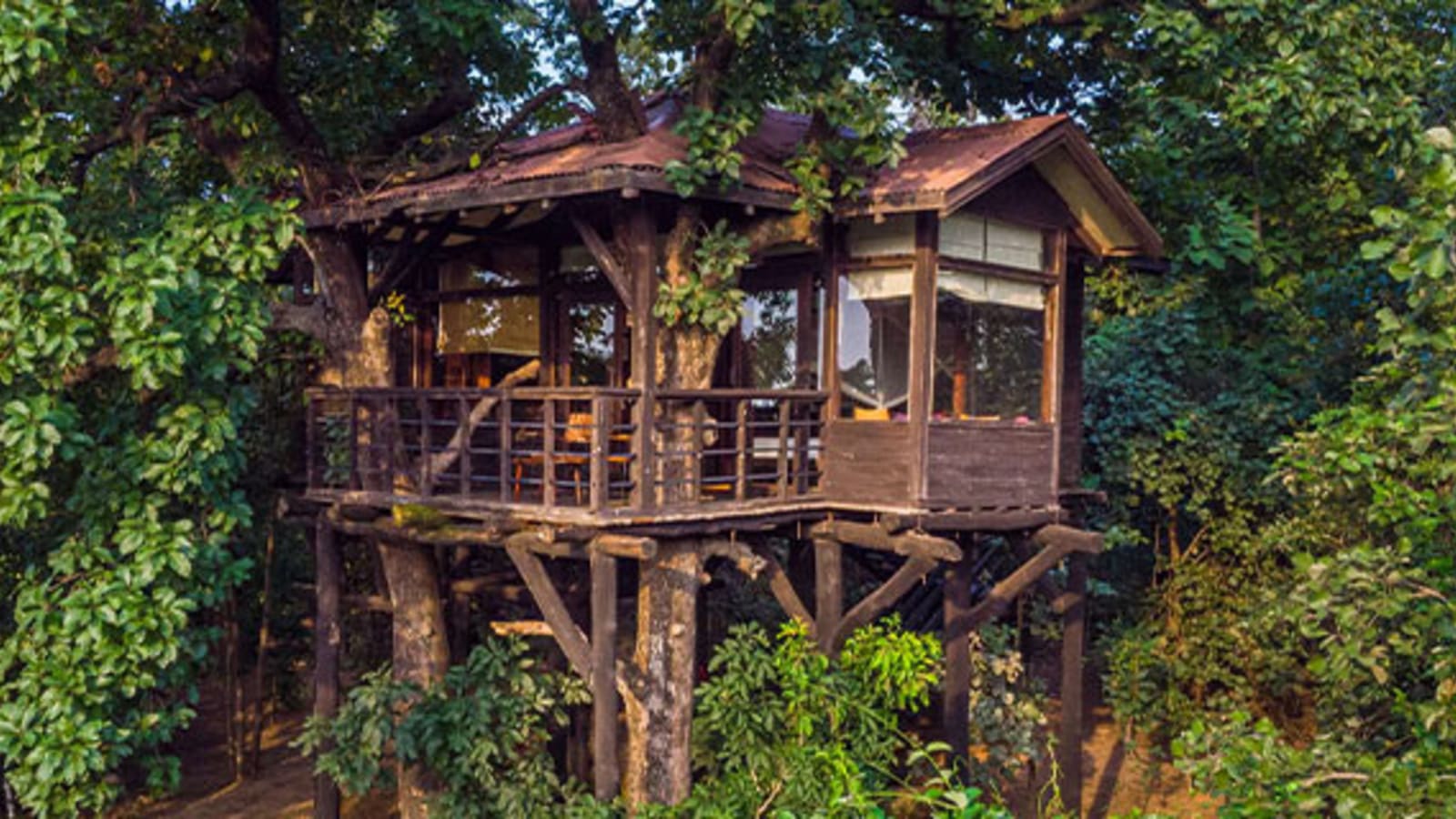 7-Day Wildlife Safari in Pench, Nagzira and Rukhad Forests