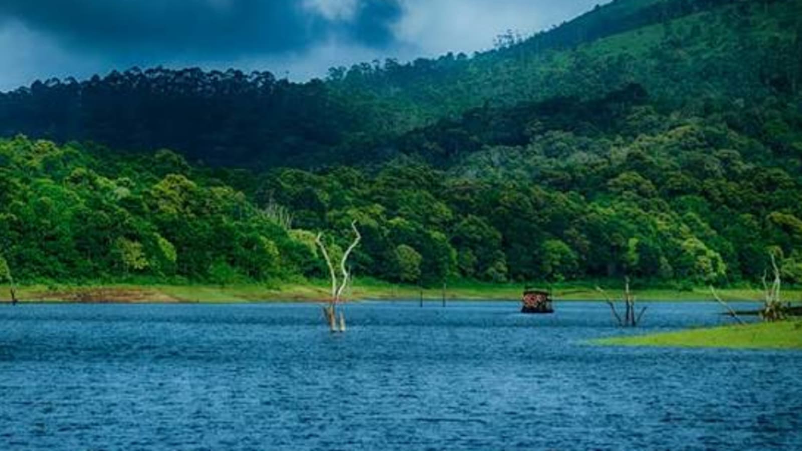 7-Day Kerala Tour through Munnar Thekkady Vagamon and Kumarakom