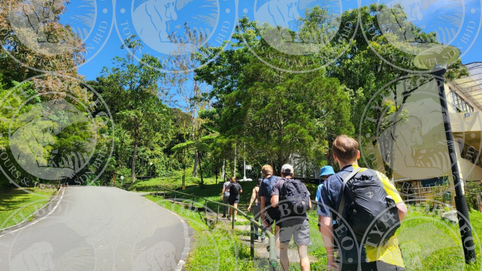 1-Day Kinabalu Park and Poring Hot Spring Tour from Kota Kinabalu