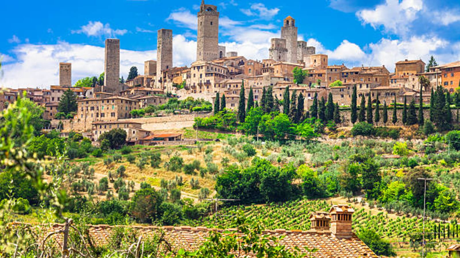 2-Hour San Gimignano Walking Tour with Cathedral and Wine Museum
