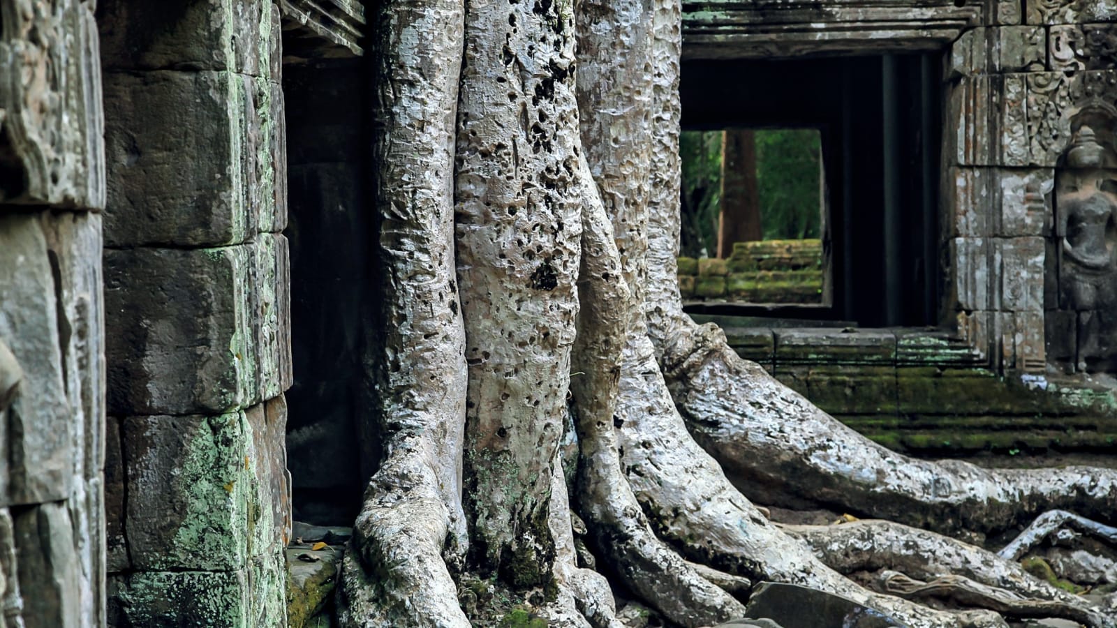 4-Day Angkor Complex Tour in Siem Reap with Beng Mealea