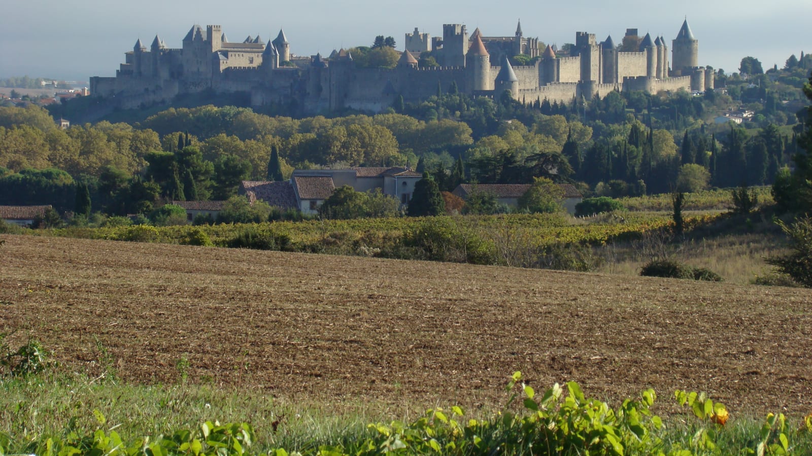 7-Hour Private Driving Tour of Carcassonne, Lastours and Albi