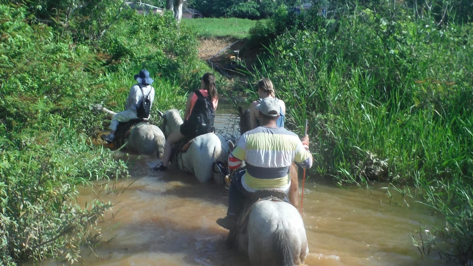 11-Day South Brazil Tour with Iguazu Falls, Rio and Colonial Towns