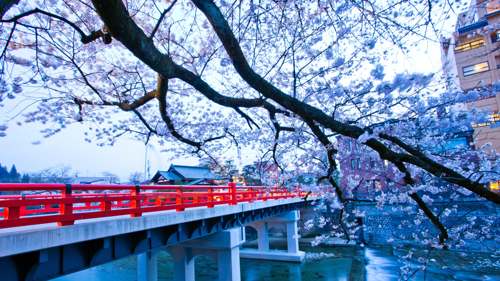 2.5-Hour Private Walking Tour of Takayama Old Town and Shrines