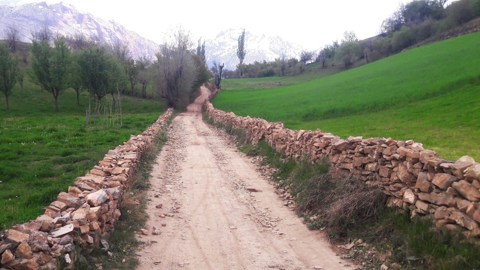 10-Day Chitral Trekking Tour with Kalash Valley and Village Stays