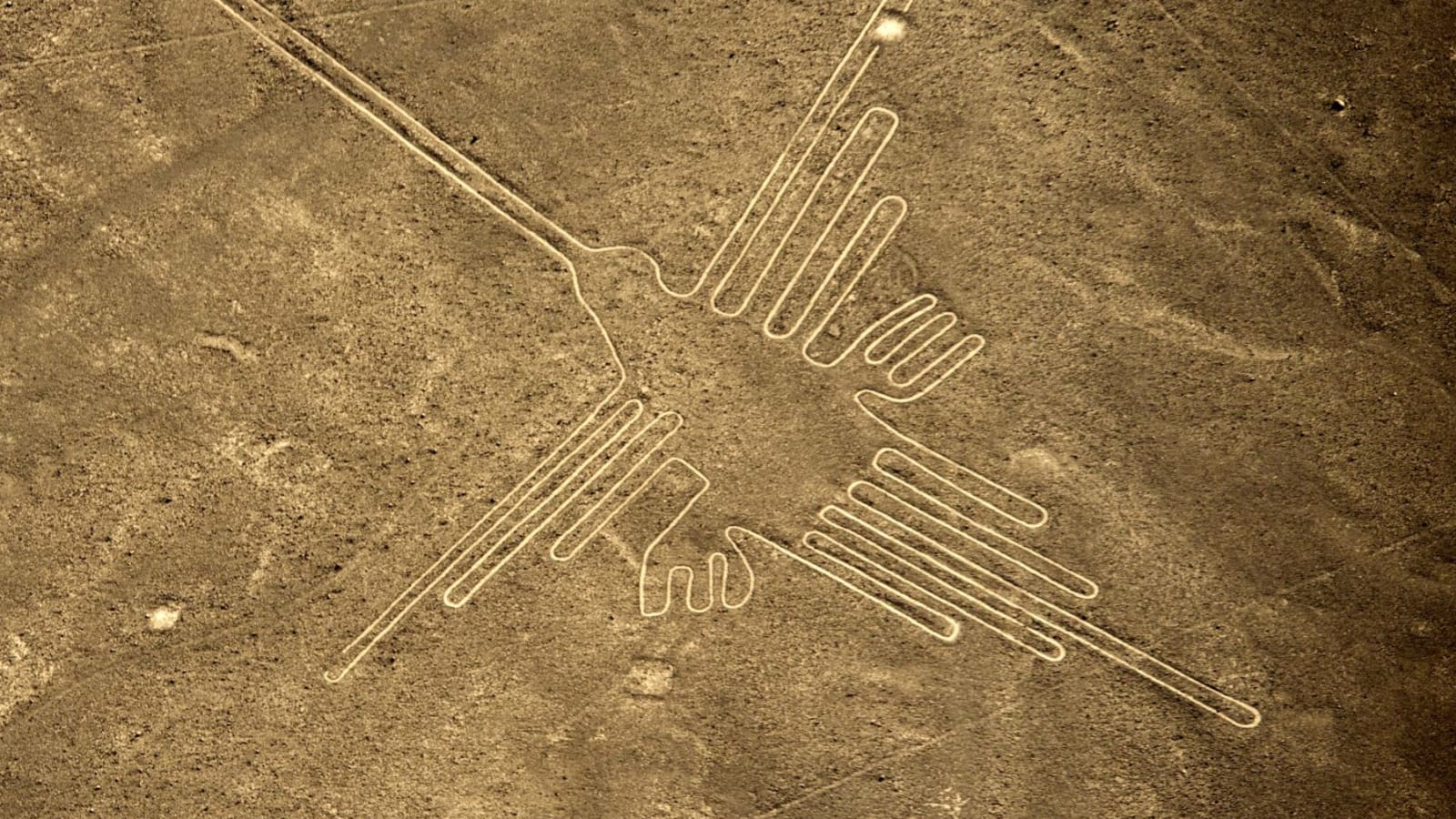 18-Hour Ballestas and Nazca Lines Tour from Lima with Scenic Flight