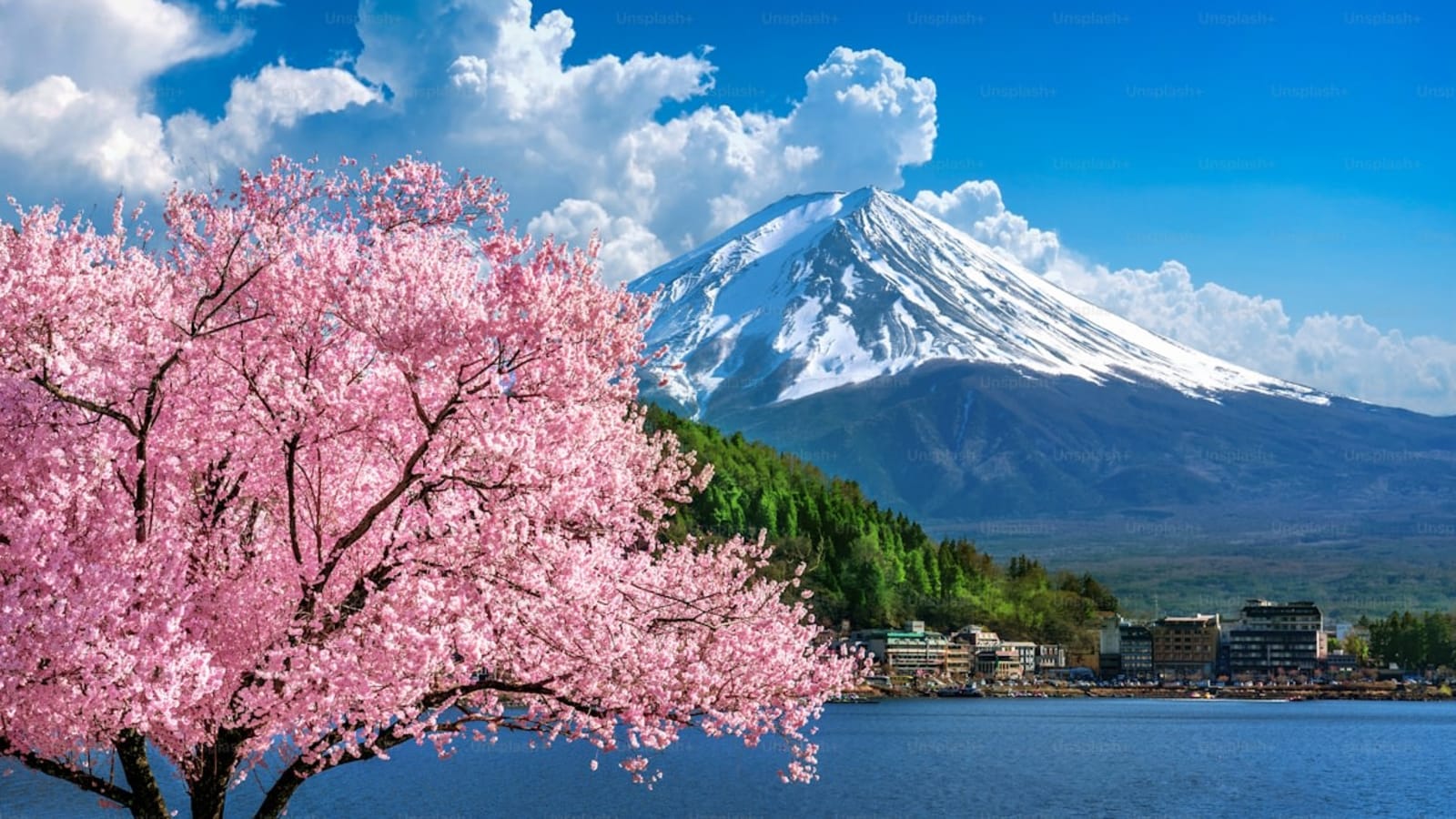 10-Hour Mount Fuji Tour with Scenic Lakes and Heritage Sites
