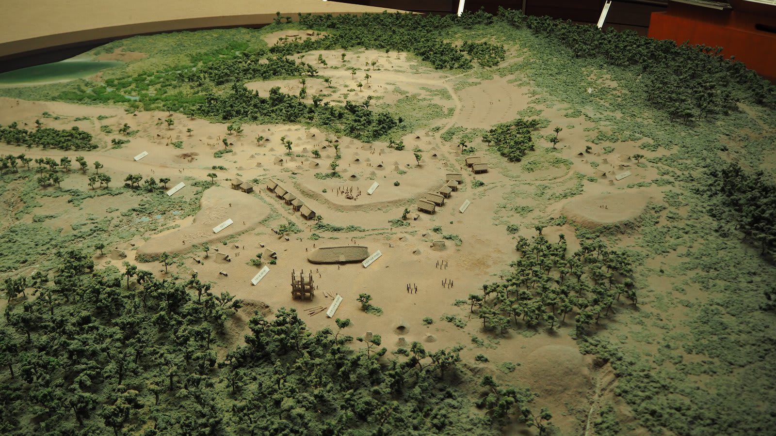 3-Hour Sannai-Maruyama Archaeological Tour with Sanmaru Museum