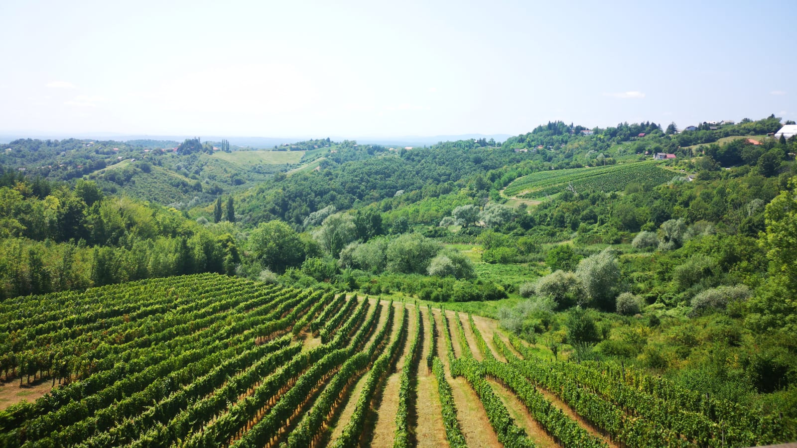 8-Hour Croatian Food and Wine Tour in Zagreb with Plešivica Tasting