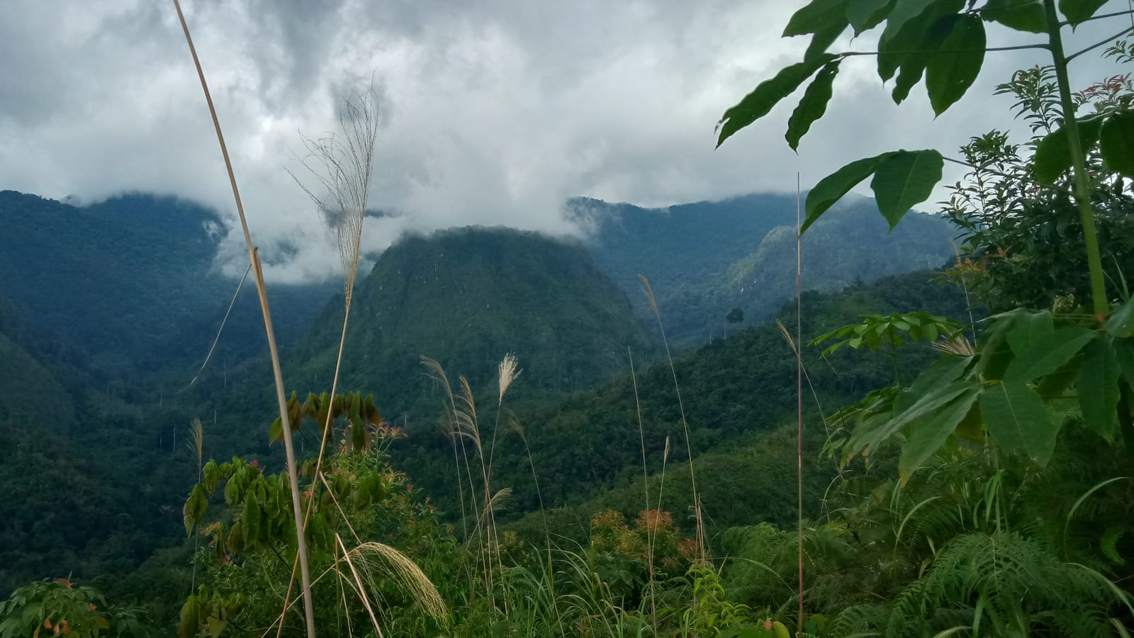 5-Day Meratus Mountains Trek and Banjarmasin Tour with Floating Market